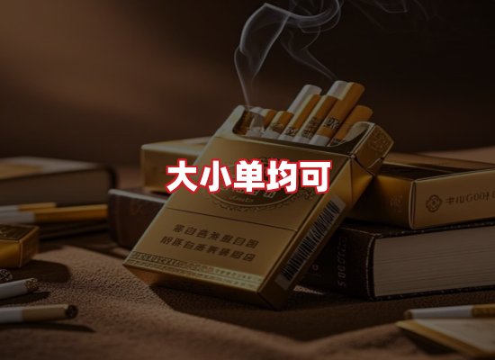 专业团队